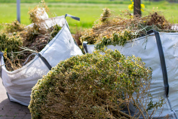 Shed Removal in Cornersville, TN